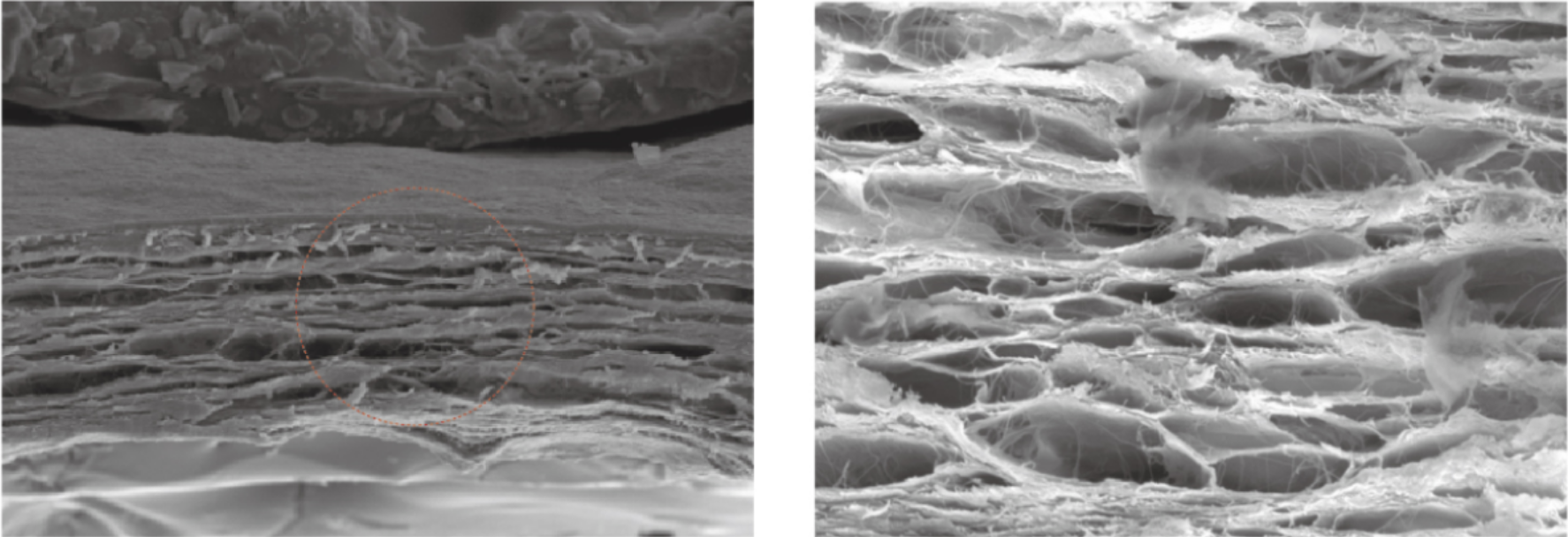 1749541658971103.png 1749541658971103.png